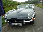 jaguar-DSC01396.jpg