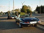 jaguar-DSC01463.jpg