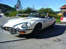 jaguar-club-0134.jpg