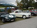 jaguar-club-9660.jpg