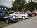 jaguar-club-9661.jpg