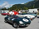 jaguar-club-9775.jpg